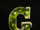 Letterlamp met plantjes