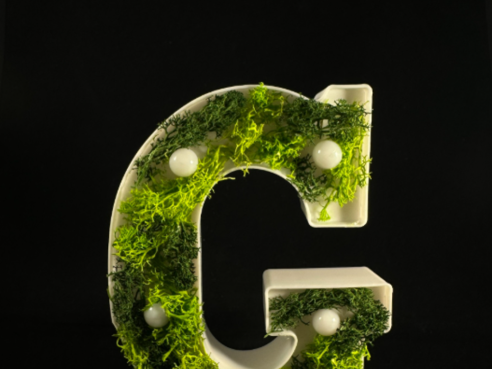 Letterlamp met plantjes