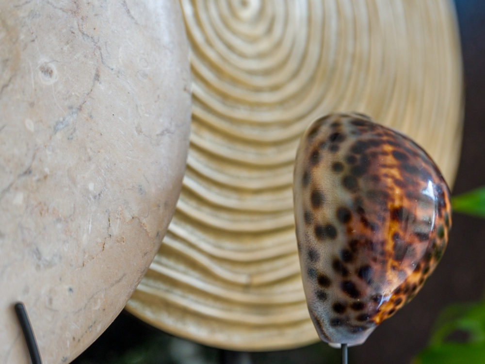 Schelp op standaard