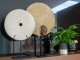 Schelp op standaard