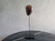 Schelp op standaard